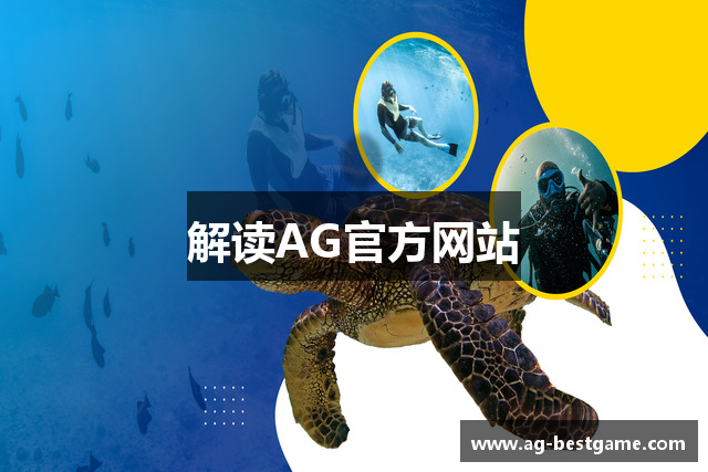 解读AG官方网站